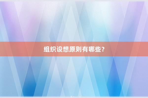 组织设想原则有哪些？