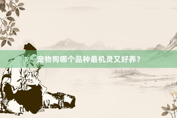 宠物狗哪个品种最机灵又好养？